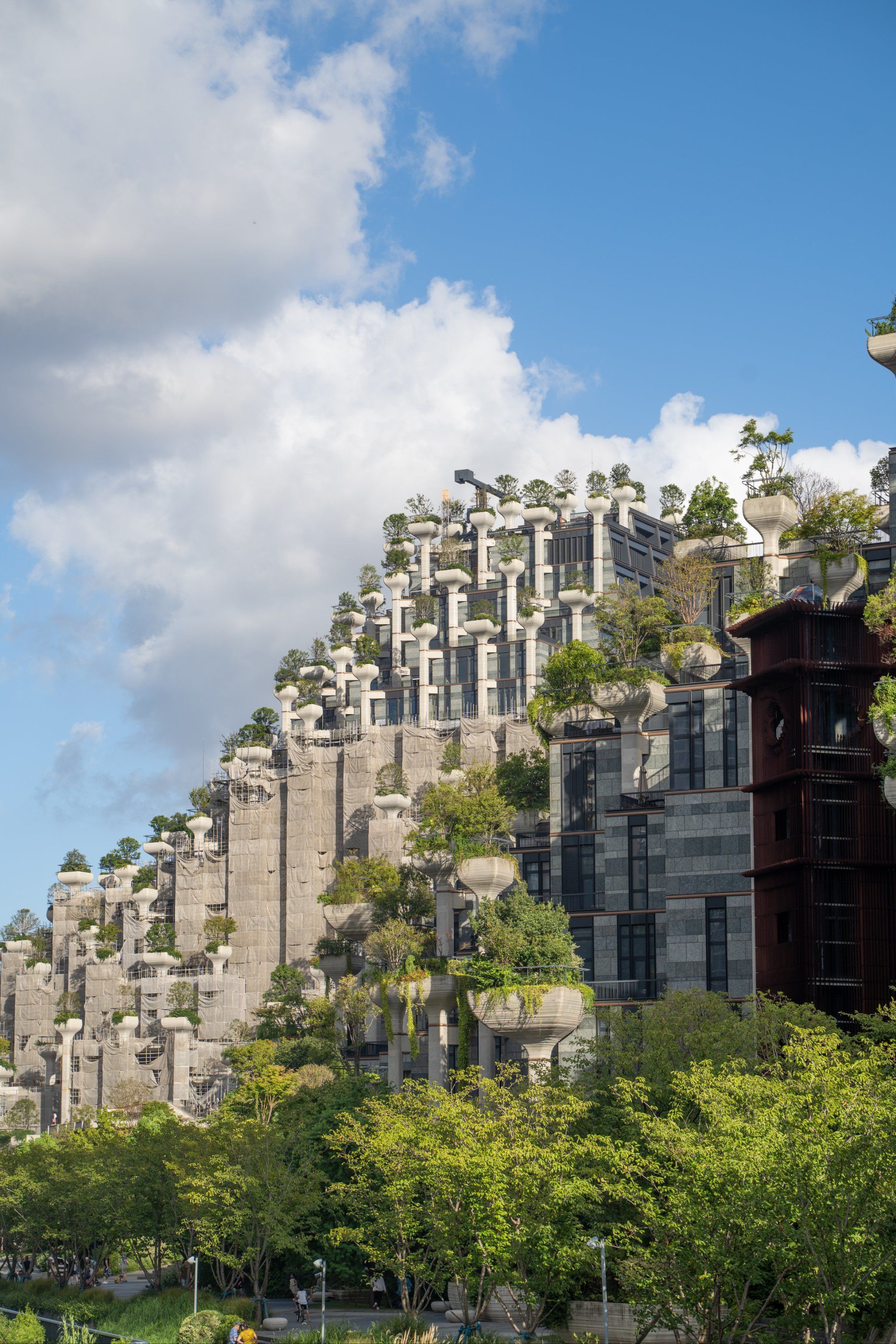 QQ